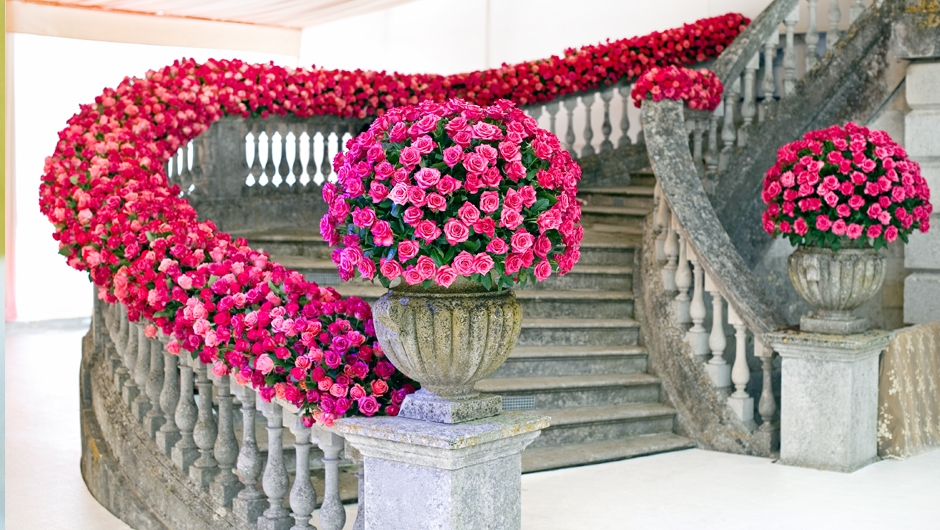 the-language-and-meaning-of-floral-arrangement