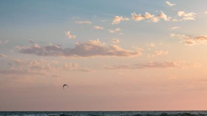 Birds in the sky over the sea